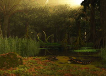 Scientists Built a Tool That Lets You Look Millions of Years Into Your Home’s Past