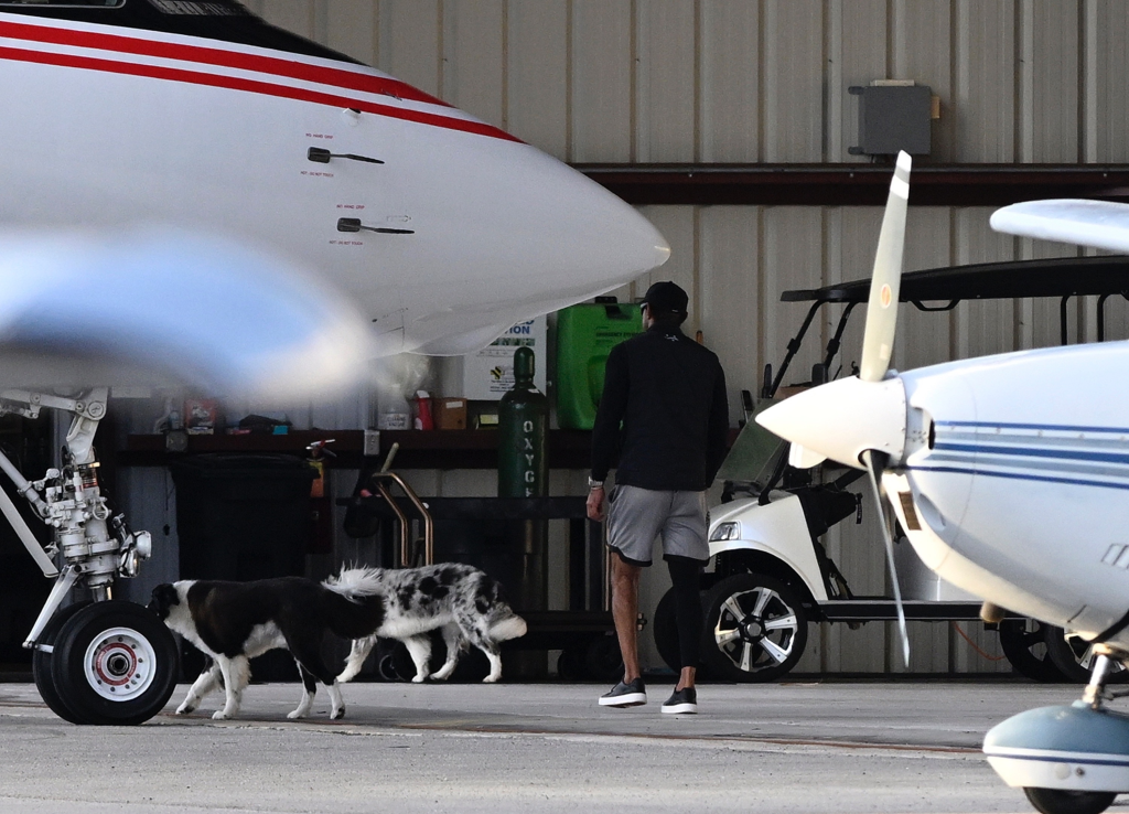 Tiger Woods with two dogs, walking towards a private jet after returning home from rehab.