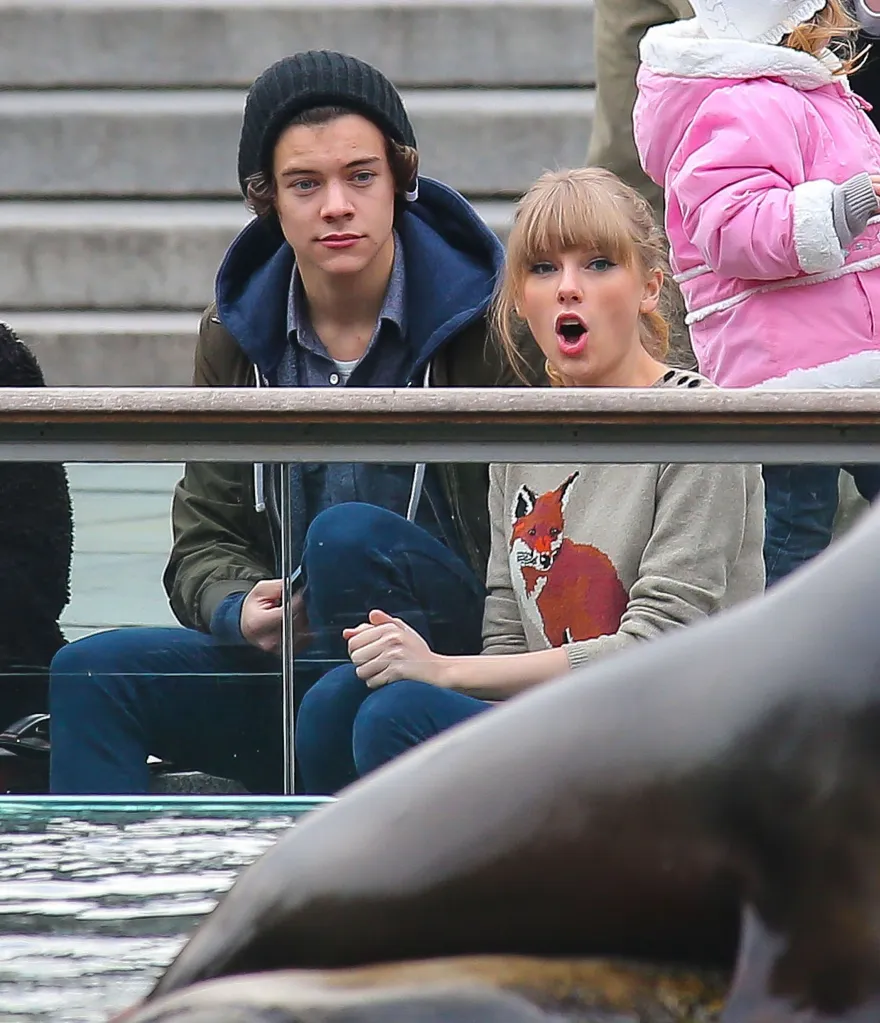 Harry Styles, in a black beanie, blue hooded top and green jacket, and Taylor Swift, in a sweatshirt with a fox on it, watching an animal in a park.