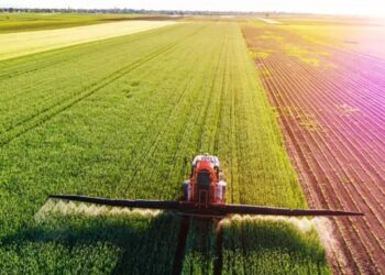 Trump nominee admitted she’s ‘pretending’ to be a farmer for a tax break: report