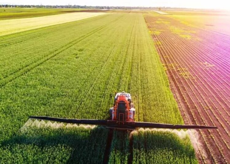 Trump nominee admitted she’s ‘pretending’ to be a farmer for a tax break: report