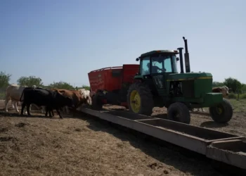 Dairy farm boycott against senator highlights ‘escalating’ GOP split: ‘Tipping point’