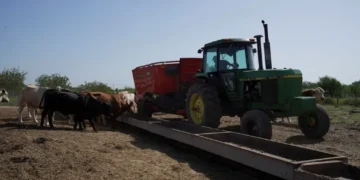 Dairy farm boycott against senator highlights ‘escalating’ GOP split: ‘Tipping point’