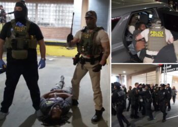 NYC hospital mob was defending illegal migrant with alleged violent, drug past