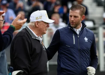 ‘Grotesque’: Trump sons’ dubious mining deal triggers accusations of ‘vast corruption’