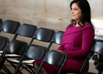 Stefanik launched failed governor bid ‘almost out of spite’ after Trump move: insider