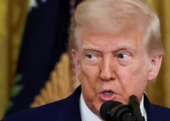Reporter uncovers bizarre language in DOJ court filing: ‘Trump’s fingerprints all over it’