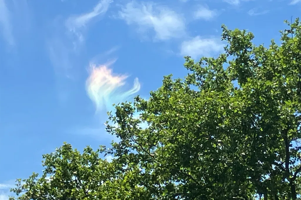 Rainbow-colored cloud in a clear blue sky, partially obscured by green tree leaves.