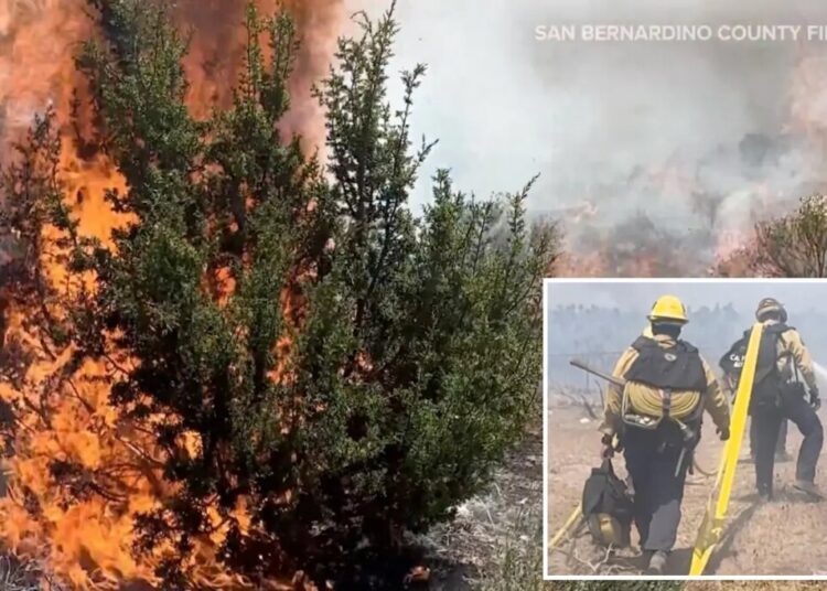 Rare ‘ash devil’ spotted during SoCal wildfire