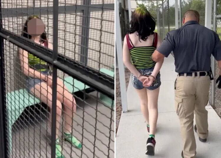 Florida 12-year-old accused of threatening teacher, saying she will ‘shoot up’ school