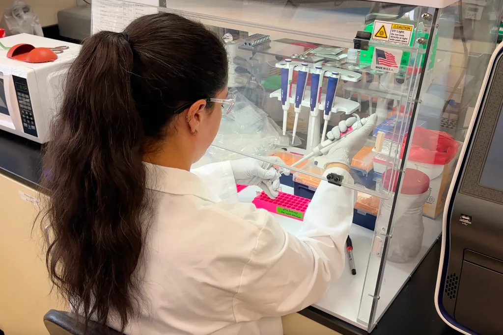 Frannie Twohig preparing inactivated material samples for hantavirus research.
