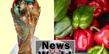 News of the World: What you missed this week internationally