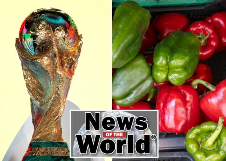 News of the World: What you missed this week internationally