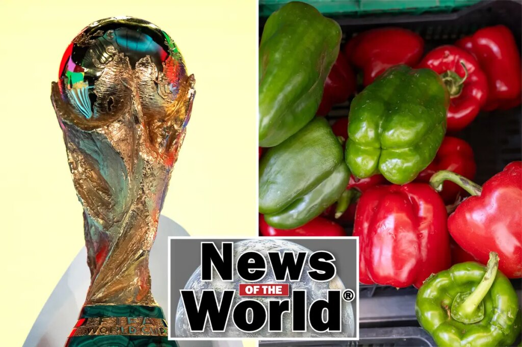 News of the World: What you missed this week internationally