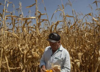 The climate crisis is coming for your groceries