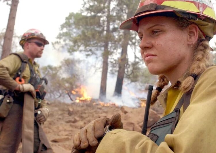 The exploding costs of fighting US wildfires