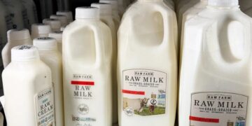 The new fight over raw milk, explained
