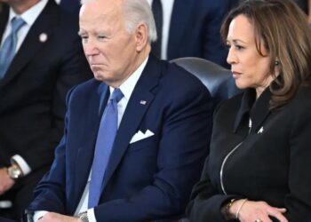 Why Democrats can’t sell America on “democracy”