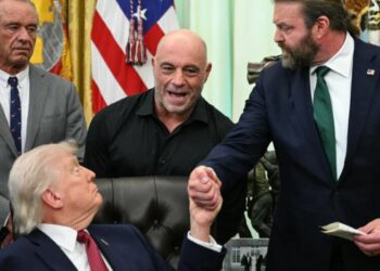 MAGA’s favorite psychedelic