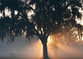 Why the American Southeast is becoming a new hotspot for wildfires