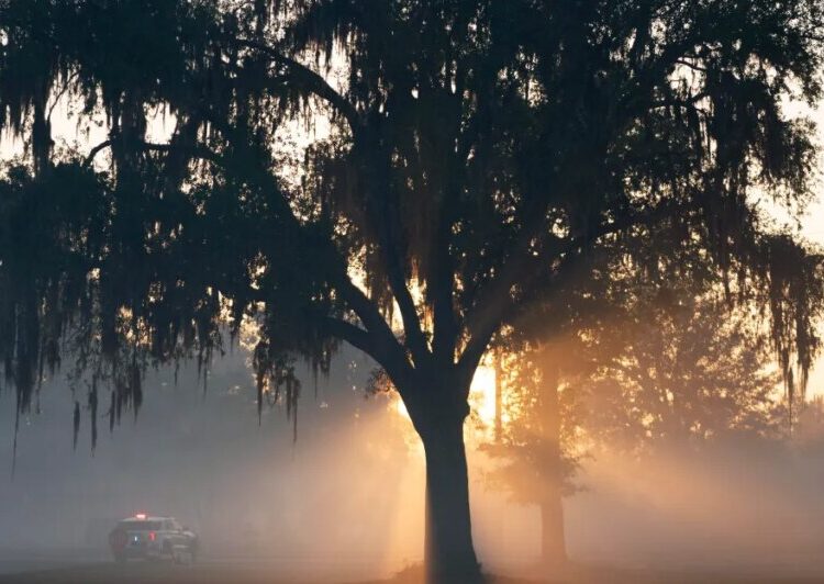 Why the American Southeast is becoming a new hotspot for wildfires