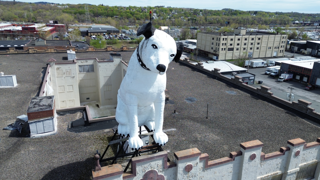 A giant statue of Nipper the dog sits atop a building in Albany, N.Y.