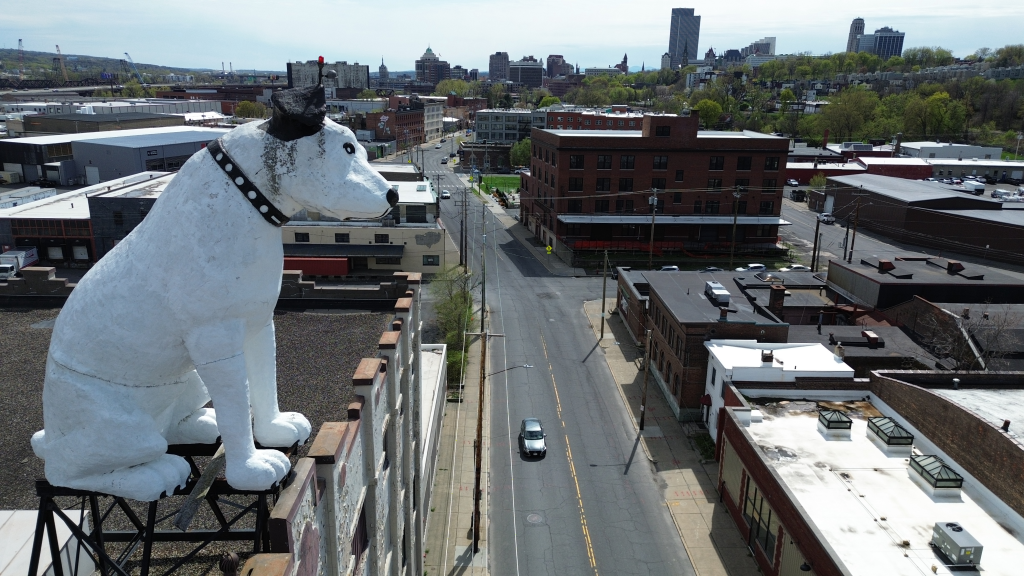 Giant statue of Nipper the dog on a building rooftop overlooking a city street in Albany, New York.