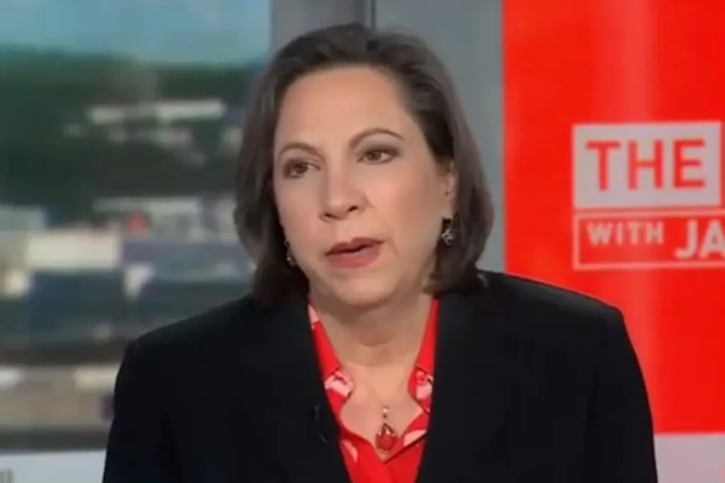 Former Deputy DNI Beth Sanner speaking on CNN.