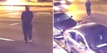 Horrifying hit-and-run caught on camera in LA as search continues for cold-blooded driver