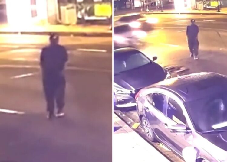 Horrifying hit-and-run caught on camera in LA as search continues for cold-blooded driver