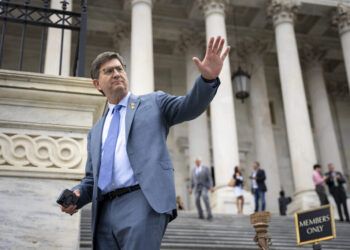 Centrist Democrats beef up affordability message