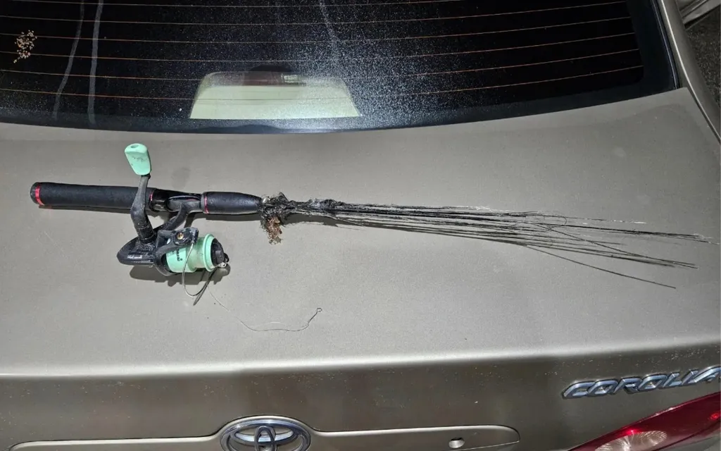 The lightning strike destroyed Wyche's fishing pole.