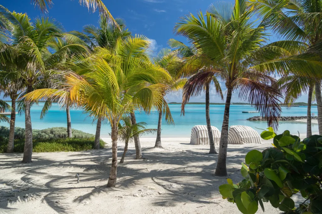 Palm trees on a white sand beach overlooking a turquoise ocean with beach cabanas.