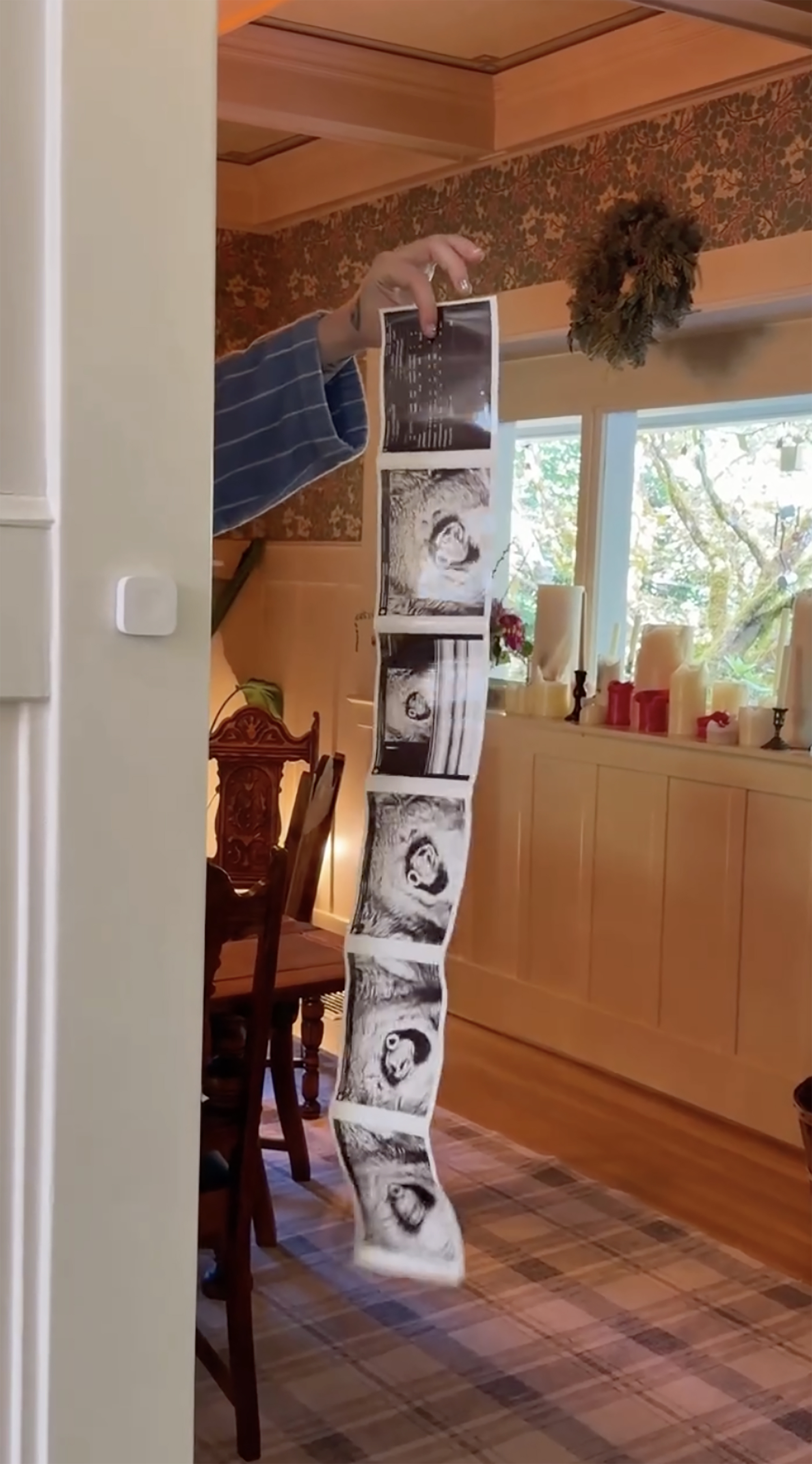 Ireland Baldwin holds up a long strip of ultrasound images.
