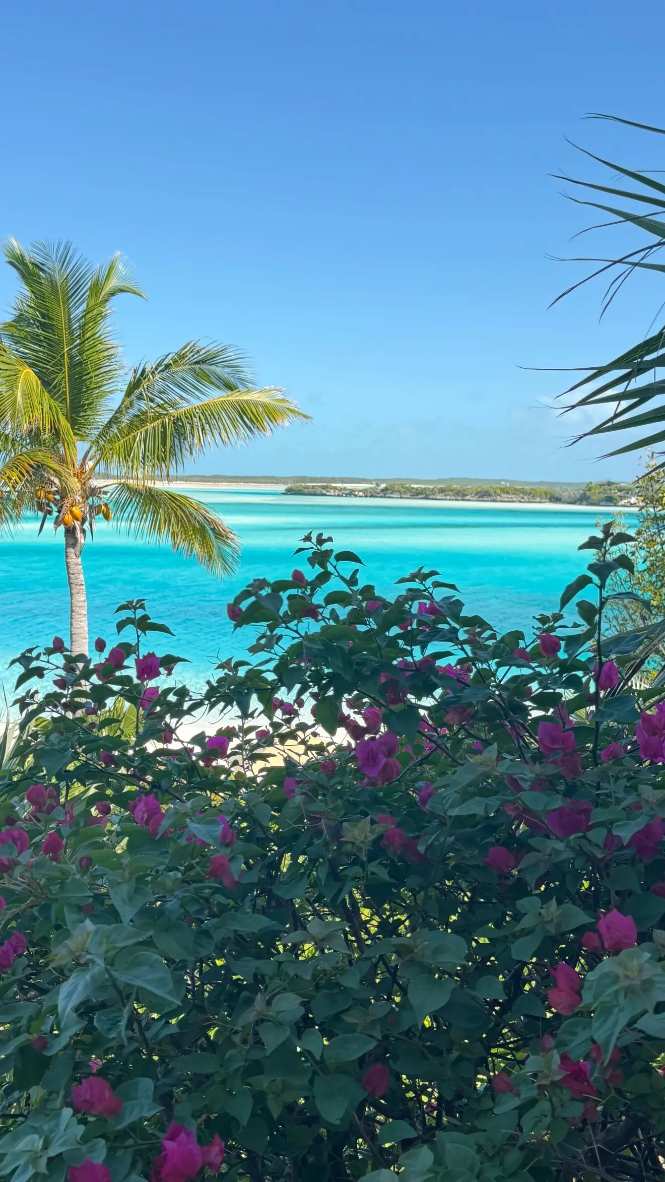 Ivanka Trump photo of the Bahamas