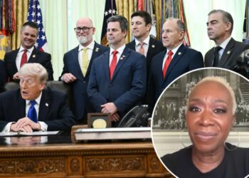Joy Reid’s podcast guest says America coddles ‘weak white men’ in wild anti-Trump rant