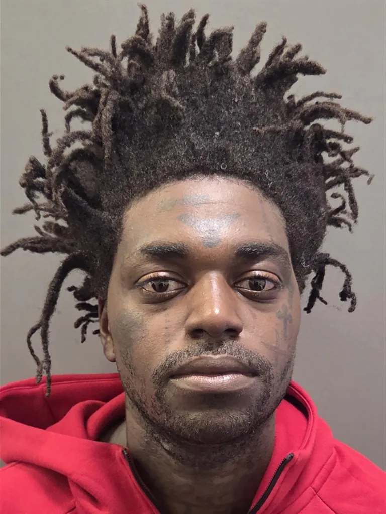 Mugshot of Kodak Black with a serious expression and a red hoodie.