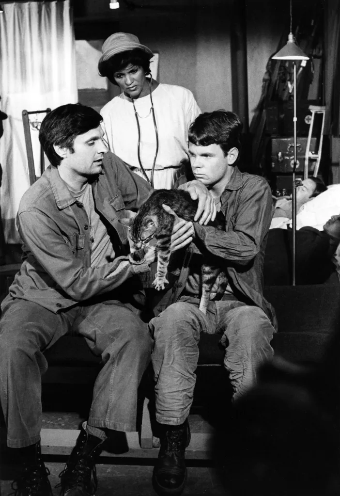 Alan Alda and Greg Mabrey holding Fluffy the cat, with Gwen Farrell standing behind them on the set of M*A*S*H*.