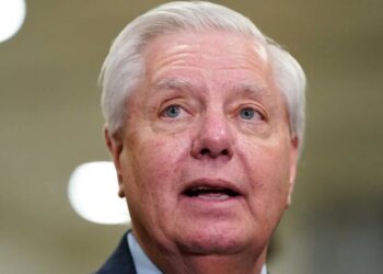 ‘Revolting’ Lindsey Graham interview sends GOP pollster into a tailspin
