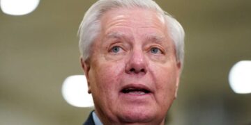 ‘Revolting’ Lindsey Graham interview sends GOP pollster into a tailspin