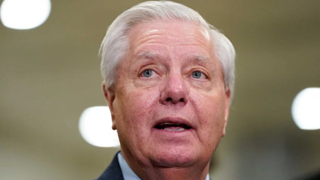 ‘Revolting’ Lindsey Graham interview sends GOP pollster into a tailspin