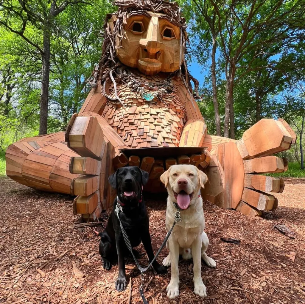 Two Labrador retrievers sit in front of a large wooden troll sculpture called Malin's Fountain.