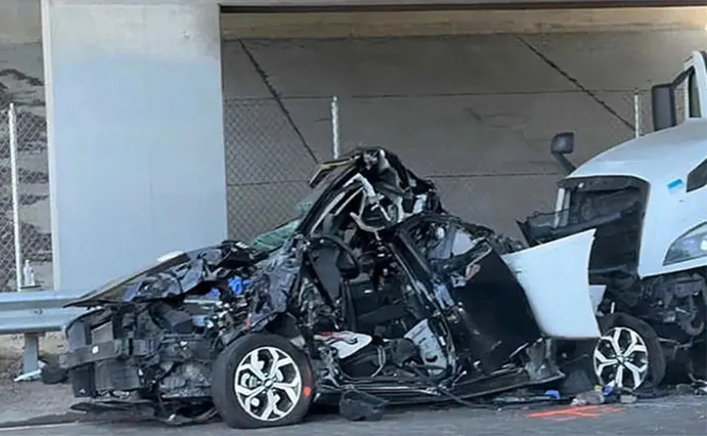 Singh faces multiple charges, including vehicular manslaughter with gross negligence, hit-and-run resulting in death or injury and resisting or obstructing a police officer, DHS said.