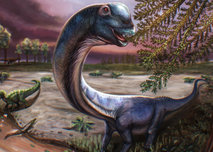 A Chance Fossil Discovery Led Scientists to ‘the Last Titan’