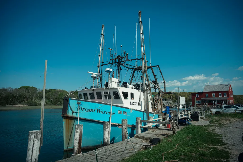 The boat 