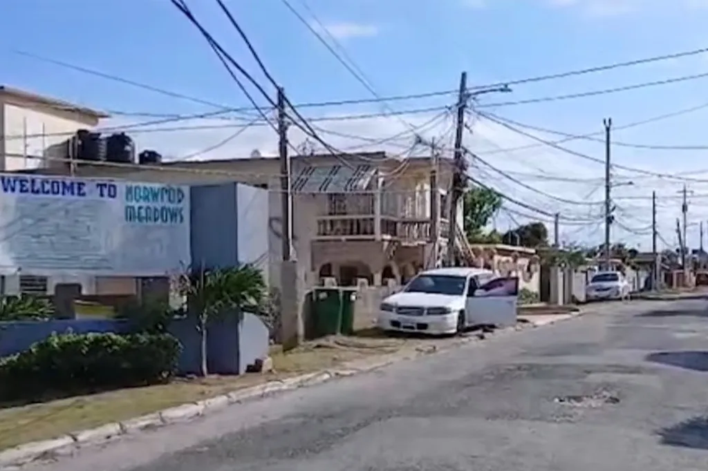 The suspected brutal murder shocked the quiet neighborhood of Norwood, with residents on alert for the wanted man.