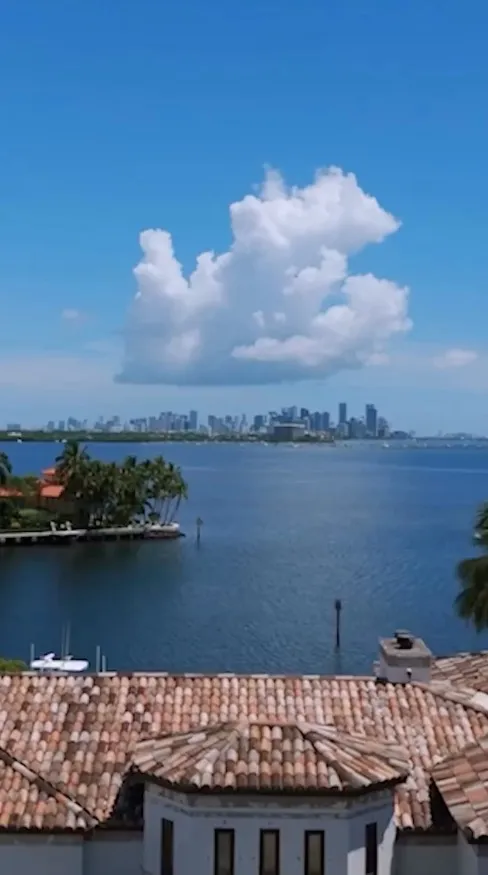 View of a bay with a city skyline in the distance, seen over the tiled roof of a building.