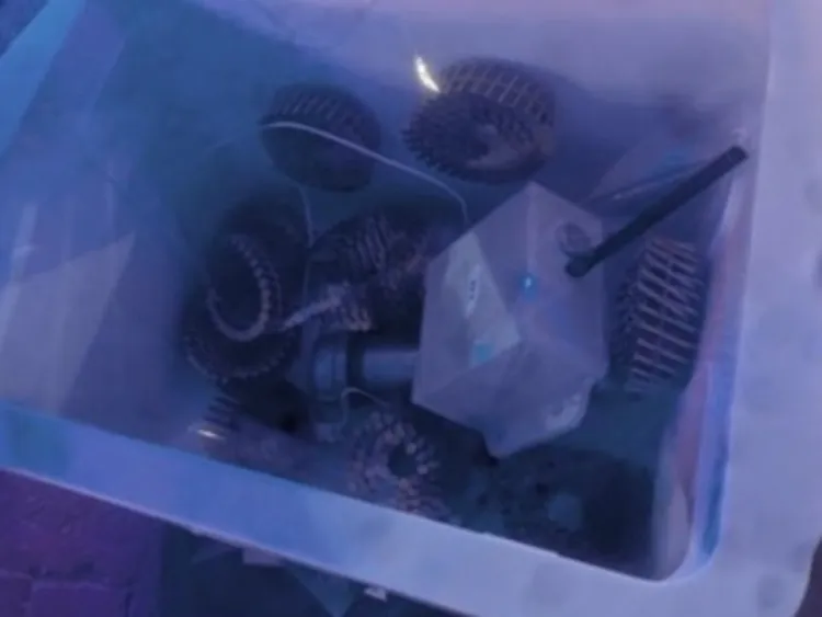 Homemade explosive devices with fuses inside a container.
