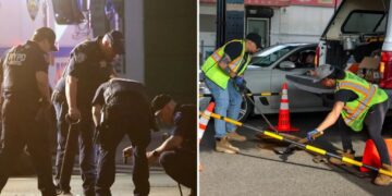Four-legged sewer rats: Large groups of men twice seen climbing out of  manholes in Brooklyn for unknown reason