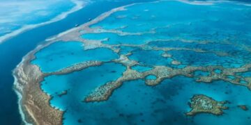 Man dies after shark attack on Australia’s Great Barrier Reef